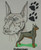 Doberman