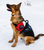 Disabled Veteran Service Dog Vest