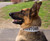 Military dog collar with welded D-ring