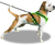 Fleece padded dog harness with adjustable girth strap