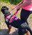 Service dog mesh vest with reflective trim and adjustable straps