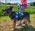 Service dog vest with breathable mesh fabric and ID window pocket