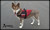Lightweight summer Service Dog harness vest