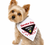Working Dog Bandana