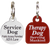 Small dog engraved ID tag