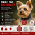 Small breed dog ID tag