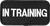 Dog in training identification patch