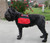 Butterfly Service Dog cape with adjustable straps