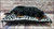 Heavy-duty outdoor dog cot