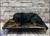 Ballistic raised dog bed with aluminum frame
