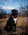 Custom Embroidered ID Patch Dog Collar