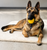 Swing n Fling DuraFoam Fetch Ball Dog Toy