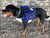 Ultimate Mesh Working Dog Vest w/ Clip-On Accessory Bags