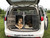 Aluminum dual dog travel kennel