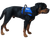 Lightweight form-fitted Service Dog harness with logo