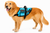 Service Dog Harness Vest – S&R Style with Handle & ID Pocket
