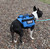 Small Dog Backpack Vest