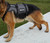Service Dog Saddle Bag Grocery Getter Harness Vest