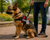 Custom Metal Dog Identification Badge with Photo