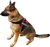 Lightweight Mesh Air-Tech Service Dog vest