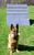 ActiveDogs professional dog sport scaling wall obstacle ready for training and competition