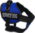 Service Dog Kit - Padded Harness Vest - Bridge Handle & ADA Cards