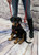 Service Dog Starter Kit - Padded Air-Tech Service Dog Harness Vest + Clip-on Bridge Handle & More