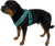 Reflective dog harness with adjustable girth strap