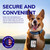 Professional service dog identification card with ADA information