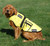 Cold Weather Service Dog Coat