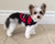 Small Dog Vest