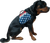 ActiveDogs patriotic red white and blue Service Dog vest