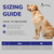 Service Dog harness with four D-rings