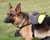 Dog Rain Coat