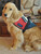 Patriotic Service Dog Vest
