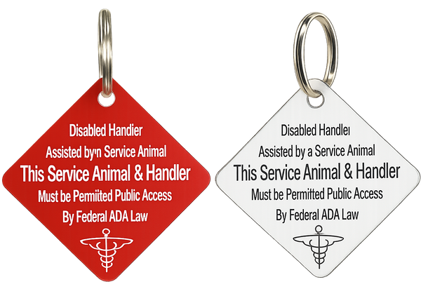Disabled handler with service dog tag