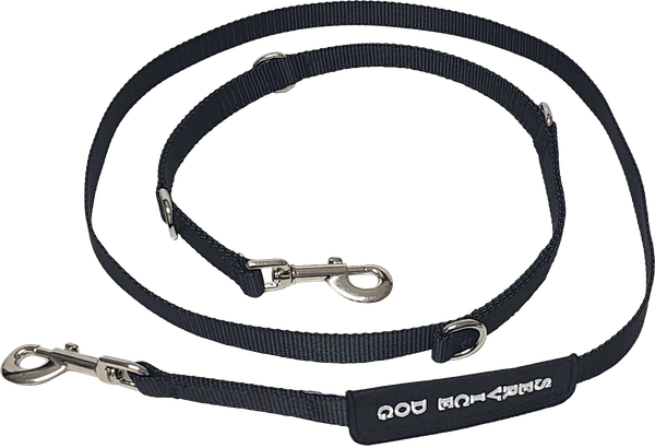 Service Dog leash for public access work