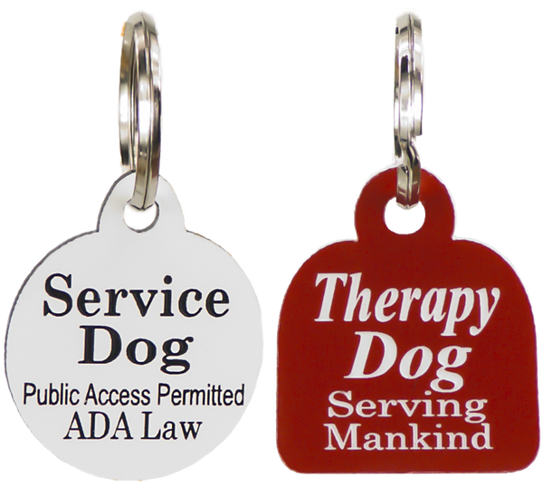 Small dog engraved ID tag