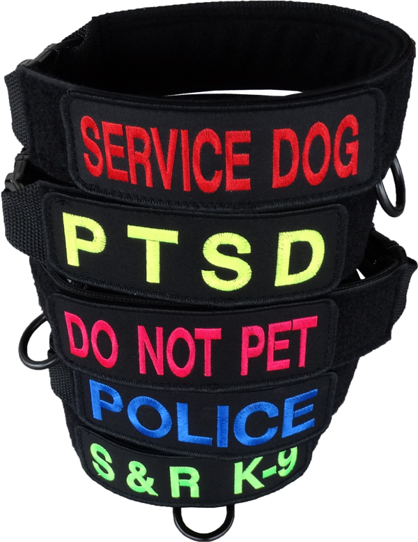 Custom ID Patch Dog Collar - Activedogs