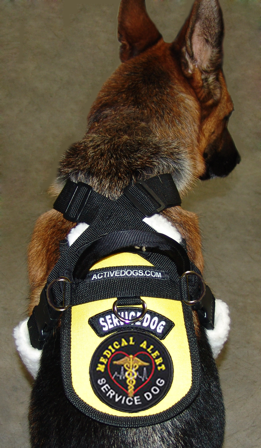 Service & Therapy Dog Balance Harness w/ Sherpa Padding at ActiveDogs