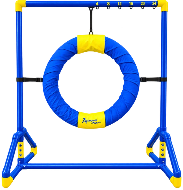 ActiveDogs agility competition tire jump blue and yellow