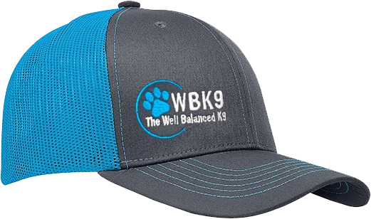 Professional logo trucker hat