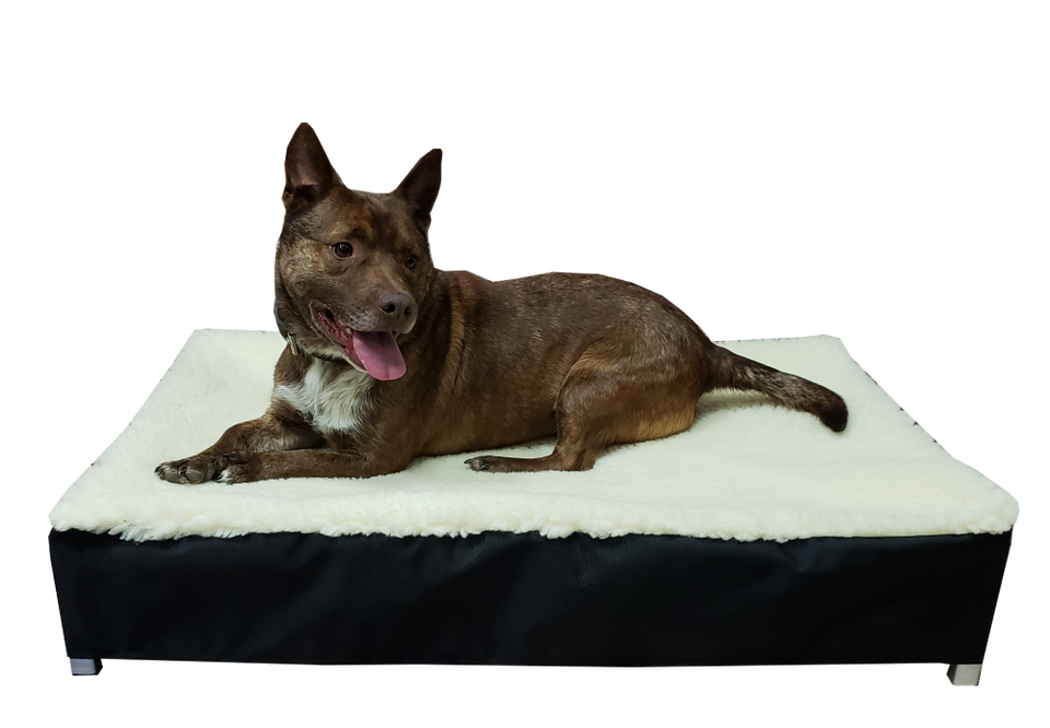 Dog Beds Sherpa Dog Beds & Raised Beds for Sale