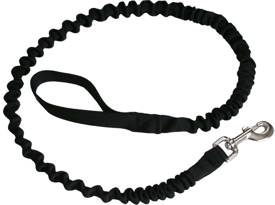 jump bungee leash