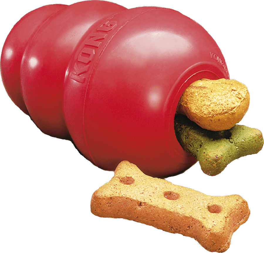 KONG Classic Hard Rubber Dental Dog Toys