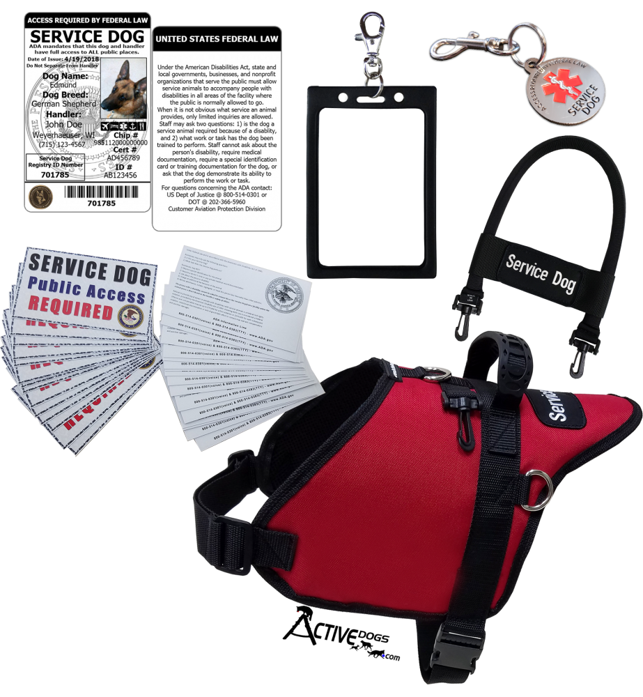 service dog equipment