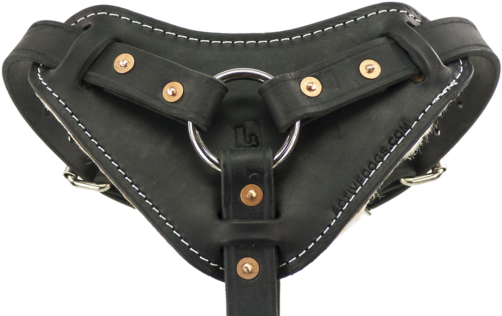 Leather Dog Harness - Free Delivery Over £50 – Pugalier of London