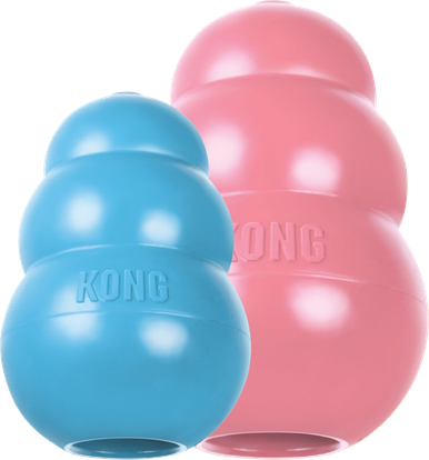 Kong Puppy Chew Toy