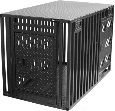 9910012DP-3_full__31047.