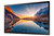 Samsung QM55B-T 55-inch interactive 4K UHD touch display front view